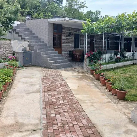 Darvi