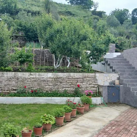 Darvi *